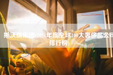 斯沃琪集团(2021年度全球100大奢侈品公司排行榜)