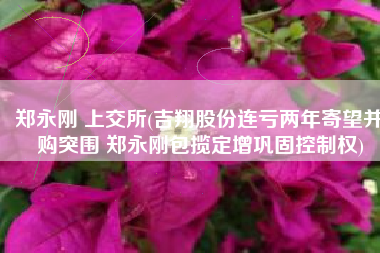 郑永刚 上交所(吉翔股份连亏两年寄望并购突围 郑永刚包揽定增巩固控制权)