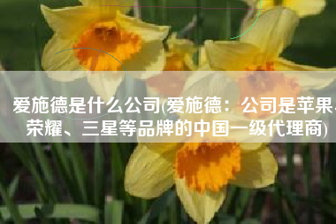 爱施德是什么公司(爱施德：公司是苹果、荣耀、三星等品牌的中国一级代理商)