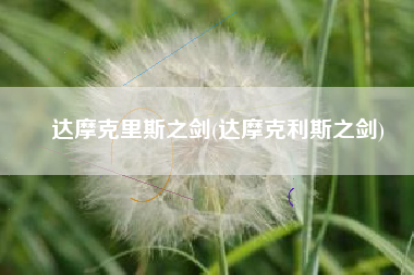 达摩克里斯之剑(达摩克利斯之剑)