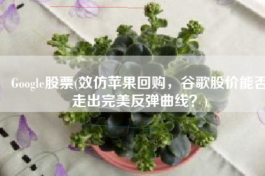 Google股票(效仿苹果回购，谷歌股价能否走出完美反弹曲线？)