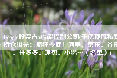 Google股票占51%能控制公司(千亿顶流私募持仓曝光：疯狂抄底！阿里、京东、谷歌、拼多多、理想、小鹏…（名单）)