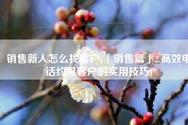 销售新人怎么找客户(「销售篇」2.高效电话约见客户的实用技巧)