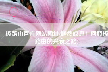 极路由官方网站网址(嗟然叹息！回顾极路由的兴衰之路)