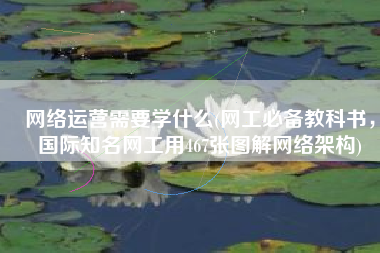 网络运营需要学什么(网工必备教科书，国际知名网工用467张图解网络架构)