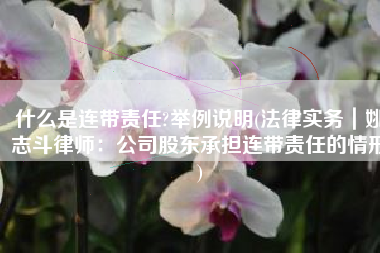 什么是连带责任?举例说明(法律实务｜姚志斗律师：公司股东承担连带责任的情形)