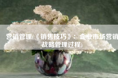 营销管理(《销售技巧》：企业市场营销战略管理过程)
