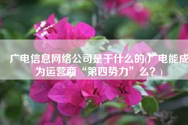 广电信息网络公司是干什么的(广电能成为运营商“第四势力”么？)