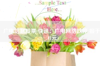 广电信息股票(快讯：广电网络跌停 报于9.41元)
