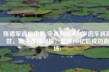 陈德军退出申通(申通创始人25岁因车祸离世，妻子改嫁司机，套现146亿后成功离场)