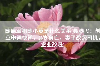 陈德军和陈小英是什么关系(聂腾飞：创立申通快递，25岁身亡，妻子改嫁司机，企业改姓)