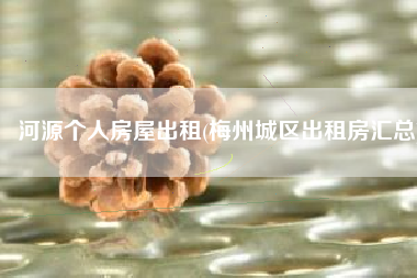 河源个人房屋出租(梅州城区出租房汇总)