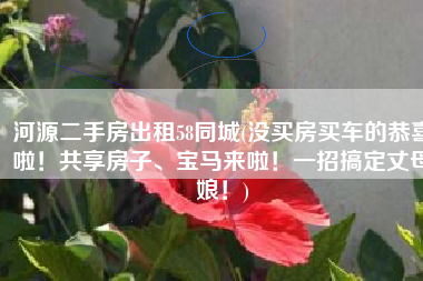 河源二手房出租58同城(没买房买车的恭喜啦！共享房子、宝马来啦！一招搞定丈母娘！)