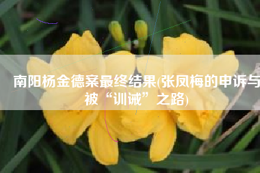 南阳杨金德案最终结果(张凤梅的申诉与被“训诫”之路)