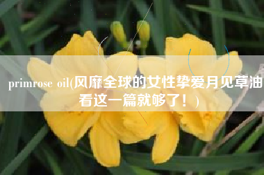 primrose oil(风靡全球的女性挚爱月见草油：看这一篇就够了！)