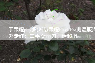 二手荣耀play多少钱(荣耀Play4 Pro测温版海外走红：二手卖999刀，远超iPhone 11)