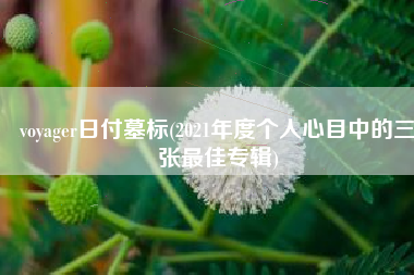 voyager日付墓标(2021年度个人心目中的三张最佳专辑)
