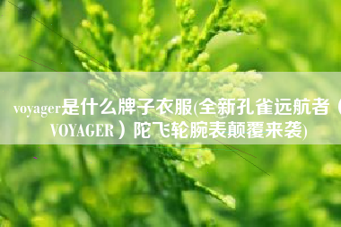 voyager是什么牌子衣服(全新孔雀远航者（VOYAGER）陀飞轮腕表颠覆来袭)