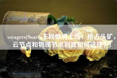 voyagers(Swarm主网即将上线，抢占头矿，云节点和物理节点到底如何选择？)