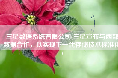 三星数据系统有限公司(三星宣布与西部数据合作，以实现下一代存储技术标准化)