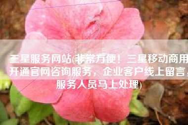 三星服务网站(非常方便！三星移动商用开通官网咨询服务，企业客户线上留言，服务人员马上处理)