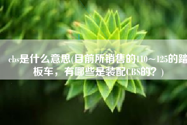 cbs是什么意思(目前所销售的110~125的踏板车，有哪些是装配CBS的？)