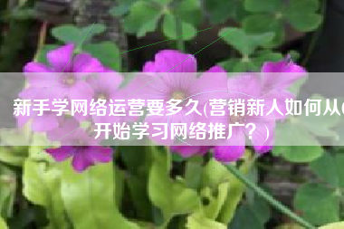 新手学网络运营要多久(营销新人如何从0开始学习网络推广？)