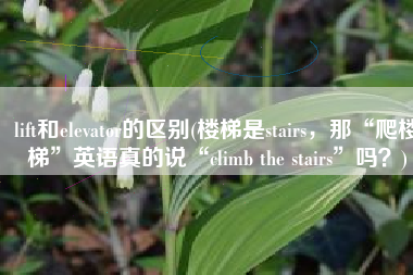 lift和elevator的区别(楼梯是stairs，那“爬楼梯”英语真的说“climb the stairs”吗？)