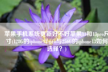 苹果手机系统更新好不好苹果13和13pro尺寸(128G的iphone13 pro与256G的iphone13如何选择？)