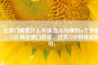 去澳门需要什么手续,怎么办理的(6个步骤，15元搞定澳门签证，过关72小时核酸即可)