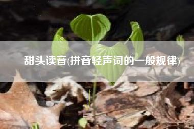 甜头读音(拼音轻声词的一般规律)