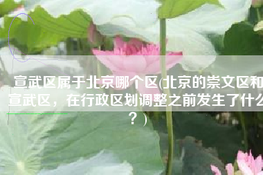 宣武区属于北京哪个区(北京的崇文区和宣武区，在行政区划调整之前发生了什么？)