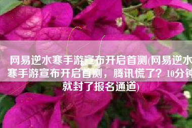 网易逆水寒手游宣布开启首测(网易逆水寒手游宣布开启首测，腾讯慌了？10分钟就封了报名通道)