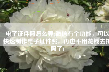 电子证件照怎么弄(微信有个功能，可以快速制作电子证件照，再也不用花钱去拍照了)