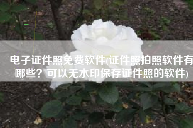 电子证件照免费软件(证件照拍照软件有哪些？可以无水印保存证件照的软件)