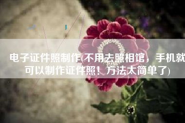 电子证件照制作(不用去照相馆，手机就可以制作证件照！方法太简单了)