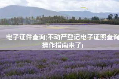 电子证件查询(不动产登记电子证照查询操作指南来了)