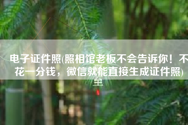 电子证件照(照相馆老板不会告诉你！不花一分钱，微信就能直接生成证件照)