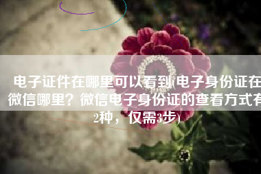 电子证件在哪里可以看到(电子身份证在微信哪里？微信电子身份证的查看方式有2种，仅需3步)