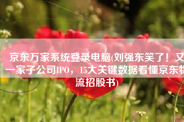 京东万家系统登录电脑(刘强东笑了！又一家子公司IPO，15大关键数据看懂京东物流招股书)