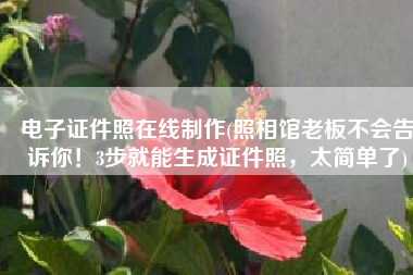 电子证件照在线制作(照相馆老板不会告诉你！3步就能生成证件照，太简单了)