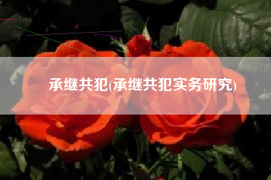 承继共犯(承继共犯实务研究)