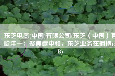 东芝电器(中国)有限公司(东芝（中国）宫崎洋一：聚焦碳中和，东芝业务在拥抱to B)