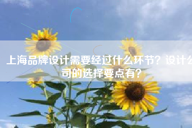 上海品牌设计需要经过什么环节？设计公司的选择要点有？