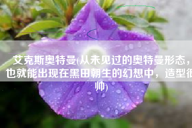 艾克斯奥特曼(从未见过的奥特曼形态，也就能出现在黑田朝生的幻想中，造型很帅)