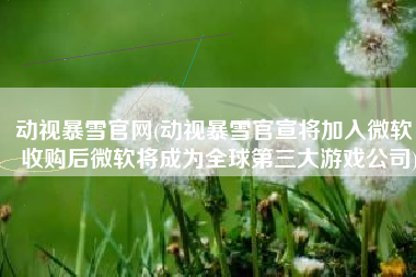 动视暴雪官网(动视暴雪官宣将加入微软，收购后微软将成为全球第三大游戏公司)