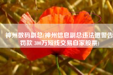神州数码副总(神州信息副总违法遭警告罚款 300万短线交易自家股票)