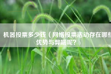 机器投票多少钱（网络投票活动存在哪些优势与弊端呢？)
