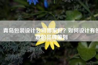 青岛包装设计公司哪家好？如何设计有创意的品牌策划