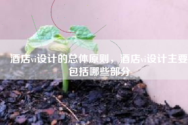 酒店vi设计的总体原则，酒店vi设计主要包括哪些部分